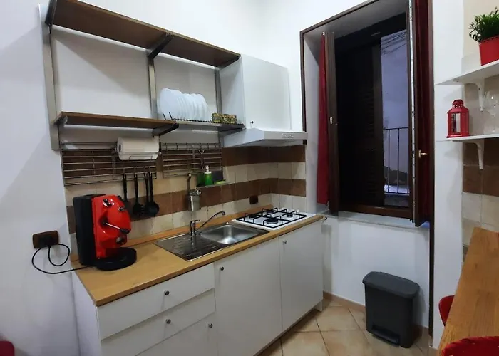 White 2 San Gregorio 14 *